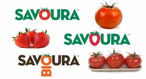 Cannabis, tomates ou fraises ? Un choix facile pour Savoura !