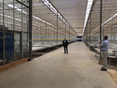 Figure 3: LGC Capital's CEO John Mc Mullen in the first of three interior modules in Block D Glasshouse at Dube TradePort AgriZone. (CNW Group/LGC Capital Ltd)
