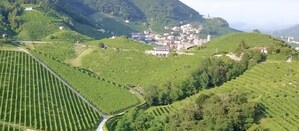 The Vinum&amp;Cibus Italici Consortium Opens to Canada Market