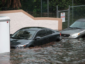 car insurance plans