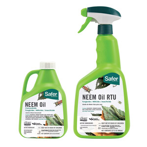 Use Neem Oil Products To Target Insect Pests And Fungal Infections In The Garden