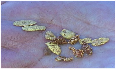 Figure 3: Gold Nuggets Recovered from the Mt. Roe Project (CNW Group/NxGold Ltd.)