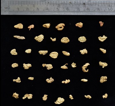 Figure 4: Variety of Gold Nuggets from Mt. Roe Project (CNW Group/NxGold Ltd.)