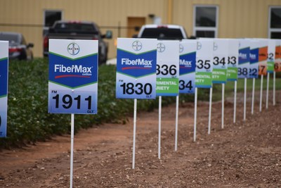 Growers now can add to their 2018 portfolio with new FiberMax and Stoneville varieties, which promote high yield, gin turnout and resistance to bacterial blight.