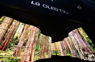 A unique, immersive installation that leverages flexible, eye-popping commercial display technology from LG Electronics (LG), is wowing attendees at CES® 2018 here this week. The winding 92-foot-long “LG OLED Canyon” features 246 LG Open Frame OLED displays, in concave and convex configurations, giving tens of thousands of visitors a one-of-a-kind experience of natural wonders.