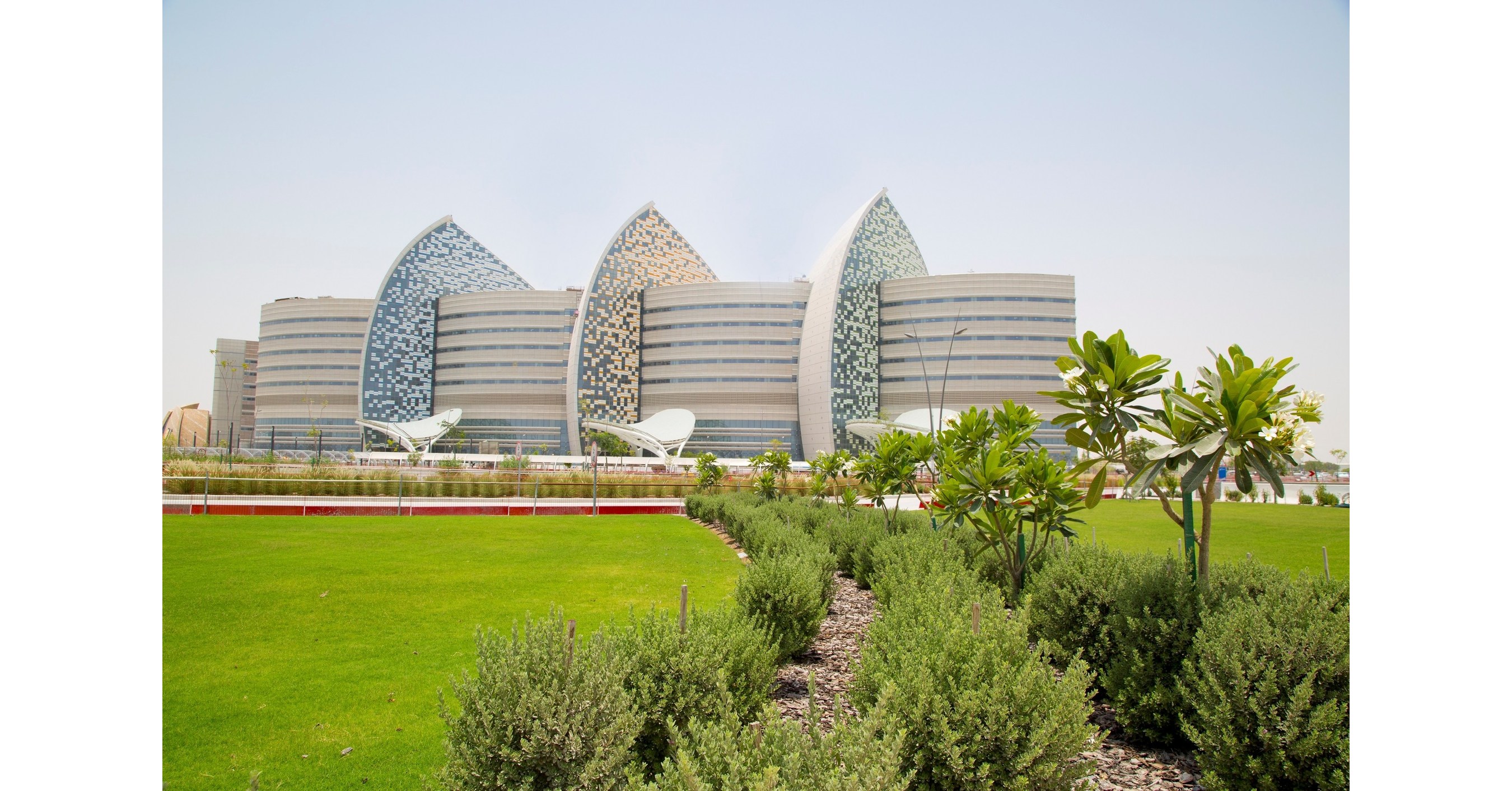 Катар это в медицине. Sidra Medical Доха. Sidra Medical and research Center. Госпиталь Катар. Sidra Medical and research Center скульптуры.