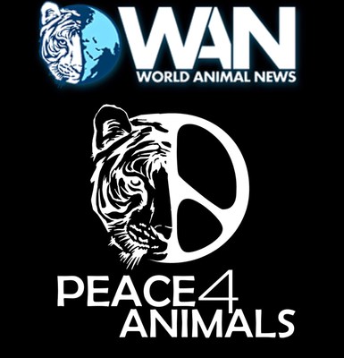 World Animal News & Peace 4 Animals