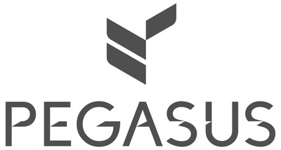Pegasus Solutions (PRNewsfoto/Pegasus Solutions)