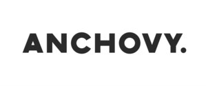 ANCHOVY. Studios plc - From Start up to Success Story