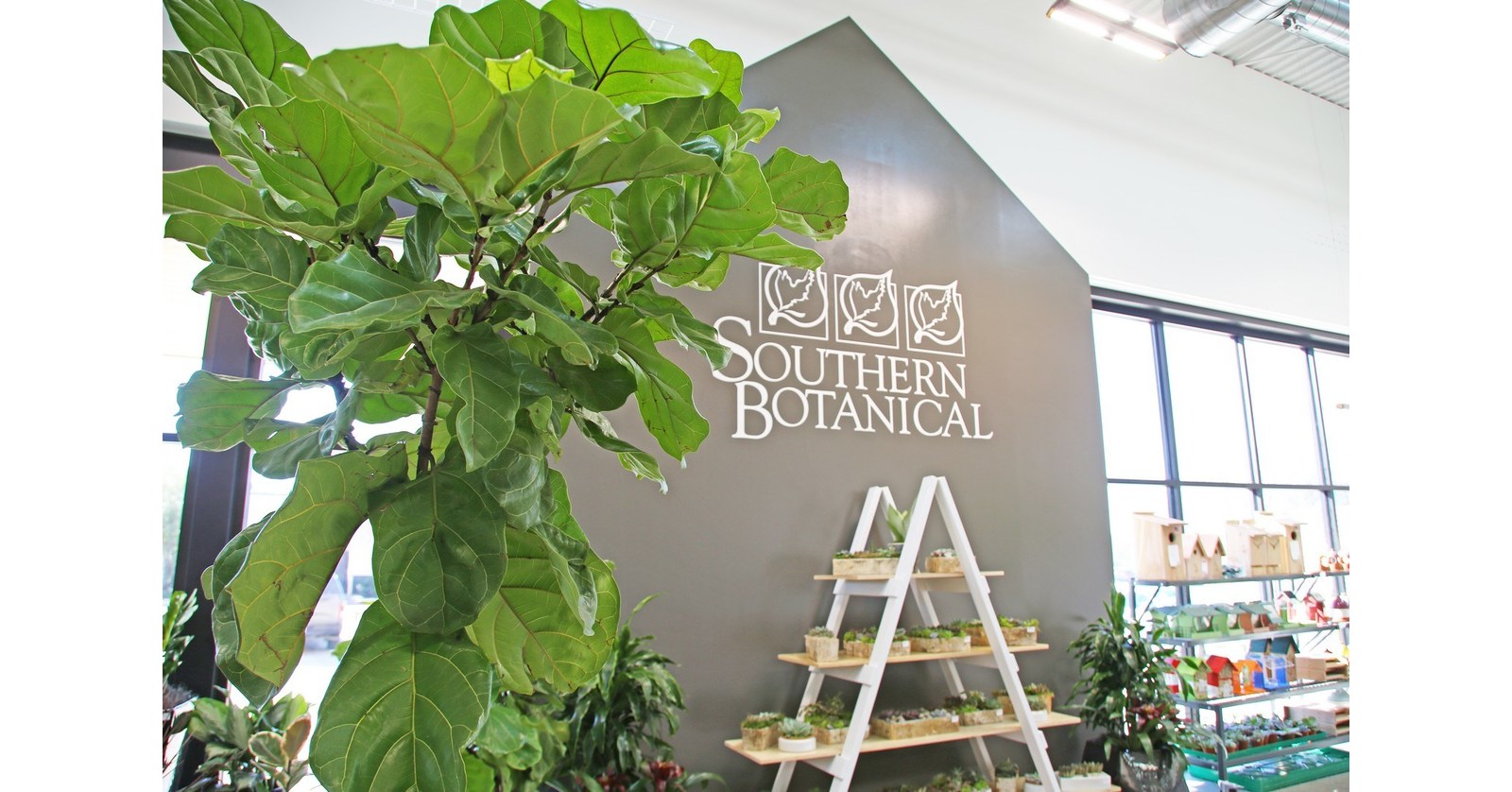 North Park Mall Wins NALP Award of Excellence for Tree Care - Southern  Botanical