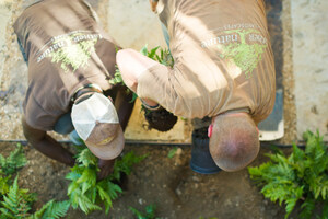 Father Nature Landscapes Launches Nationwide Franchise Program