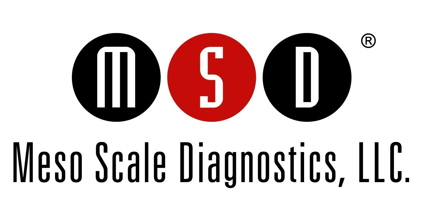 Mesoscale Group