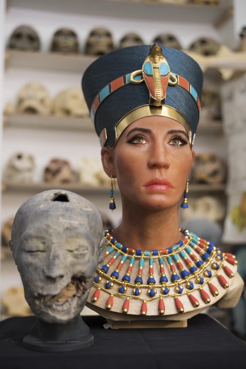 The facial reconstruction of the “Younger Lady” mummy next to a 3D replica of its head created from digital mapping.