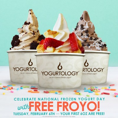 froyo frozen yogurt