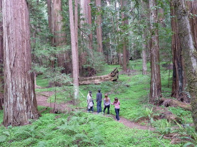 “Mont Woods Celebrate Walk” Photo courtesy Save the Redwoods League