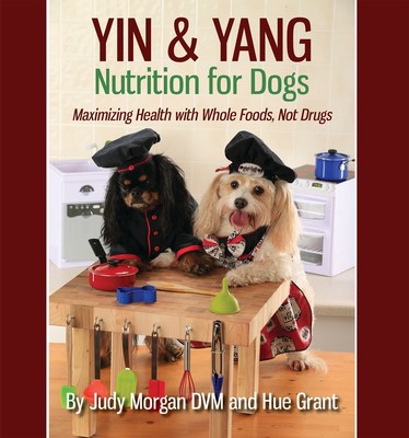Are You Feeding Your Dog Wrong for His Personality and Health?  Image