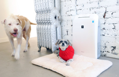 NYC's first dog-friendly caf has something to bark about ? guests can enjoy fresher air and less allergens thanks to Sharp's Plasmacluster Ion air purifier.