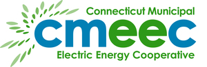 Jake Pagragan Joins Connecticut Municipal Electric Energy Cooperative As Director, Customer And Community Prosperity