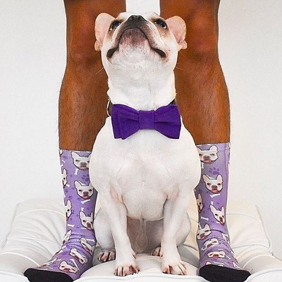 PupSocks places your pet's photo on your socks. www.gopupsocks.com