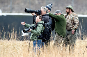 Warriors Learn Wildlife Photography Skills with Veterans' Charity