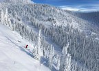 Looking for a Powder-full Experience?