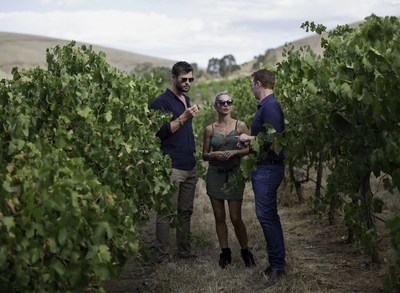 Chris Hemsworth and Elsa Pataky with Jacob's Creek Double Barrel Chief Winemaker Ben Bryant in the newly named Hemsworth Block. Photo credit: Cristian Prieto