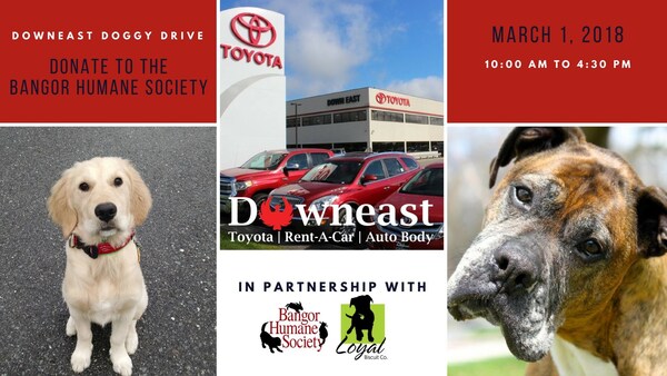 Bangor-area residents can donate dog toys, food and more to the Bangor Humane Society shelter on March 1 during the Downeast Doggy Drive at Downeast Toyota and have fun with furry family members in the process.