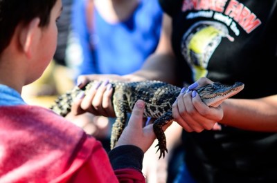In New Braunfels, enjoy some "Animal Encounters" up close and personal, at the Animal World & Snake Farm Zoo, let teens try "caving" at Natural Bridge Caverns 230 feet below the surface, zip line, learn to wakeboard or try the mining sluice for a great Spring Break!