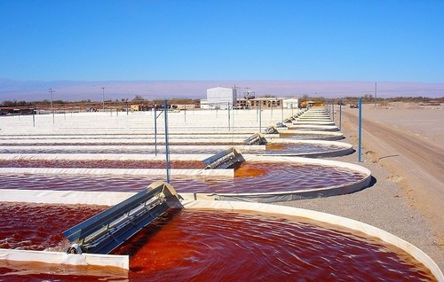 Atacama Bio has been producing natural astaxanthin derived from Haematococcus pluvialis since 2003 in the Atacama desert in Chile on its 250-acre facility using closed and open photo-bioreactors.