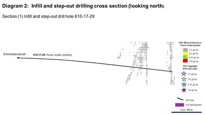 Diagram 2: Infill and step-out drilling cross section (looking north) (CNW Group/Rubicon Minerals Corporation)