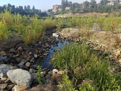 Plants and animals thrive as clean water flows in and along Big Canyon Creek, a valued urban corridor in Newport Beach. The Big Canyon Creek Restoration and Water Quality Improvement Project, planned and delivered by Burns & McDonnell, is winner of an Honor Award from the California chapter of the American Council of Engineering Companies (ACEC).