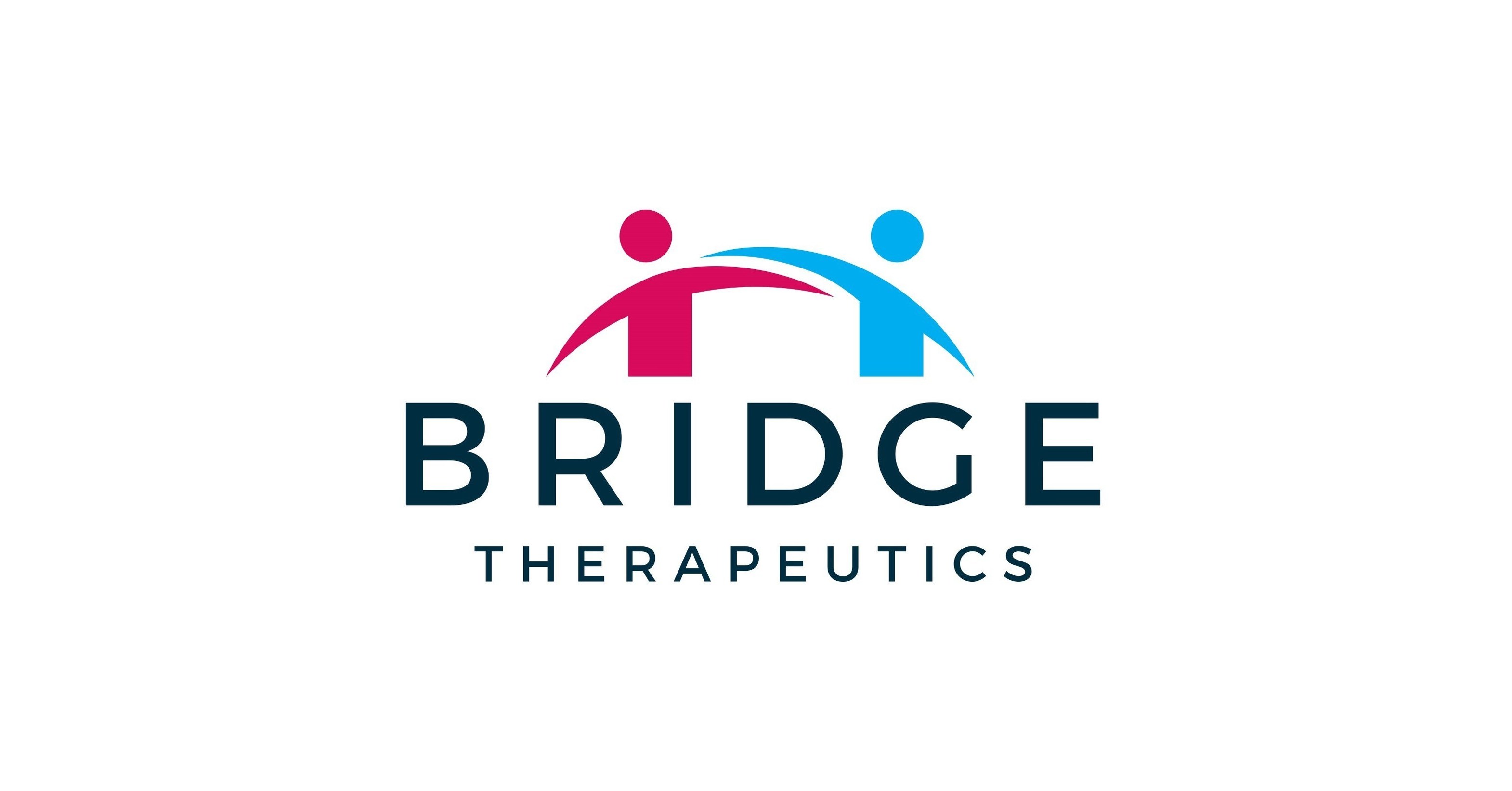 Pharmaceutical Startup, Bridge Therapeutics, Names David H. Bergstrom