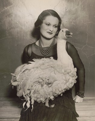 Unknown. Not an Ostrich: ?Floradora goose' at 41st annual Poultry Show, Madison Square Garden, 1930.