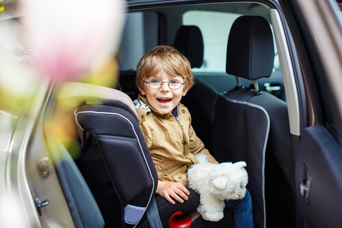There are a variety of businesses in the Green Bay area offering free child car seat checks completed by Child Passenger Safety technicians.