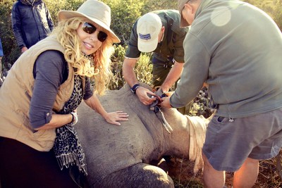 Mary Jean Tully assisting as an endangered rhino is moved to safety. (CNW Group/Tully Luxury Travel)