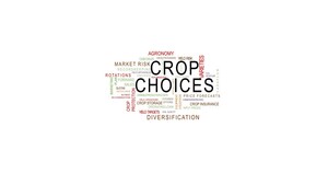 Just in Time for Final 2018 Planting Decisions: Innovative On-Line Production Planning Tool and Professional Service Free to Growers in Exchange for Feedback