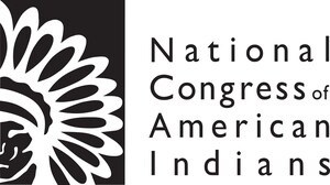 South Dakota V. Wayfair: NCAI And South Dakota Tribes File Amicus Brief On Tribal Tax Authority For Online Sales