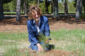Dryden Woman Revisits Her Roots Through Tree Planting