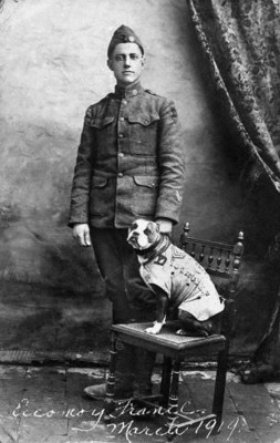 The real Sgt. Stubby and Private First Class Robert Conroy, who took in the stray off the streets of New Haven, Conn. in 1917. Sgt. Stubby is still recognized today as the first dog promoted to the rank of Sergeant in the U.S. Army; the most decorated dog in American history; and is widely considered the forerunner to the U.S. Army's working dog program. Photo courtesy of the Division of Military History, National Museum of American History, Smithsonian Institution.