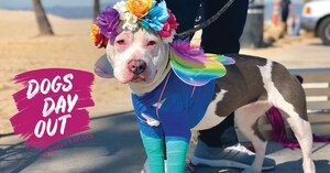 'Dog's Day Out' Series Secures First Major Sponsorships; Focus on Dog Adoption