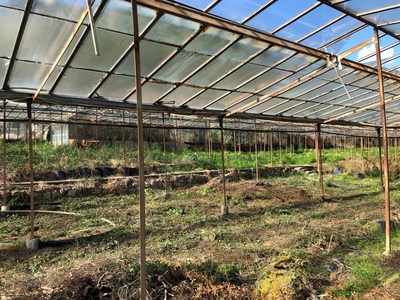 Evolution Bnk's Greenhouses that are being redeveloped in Sanremo (CNW Group/LGC Capital Ltd)