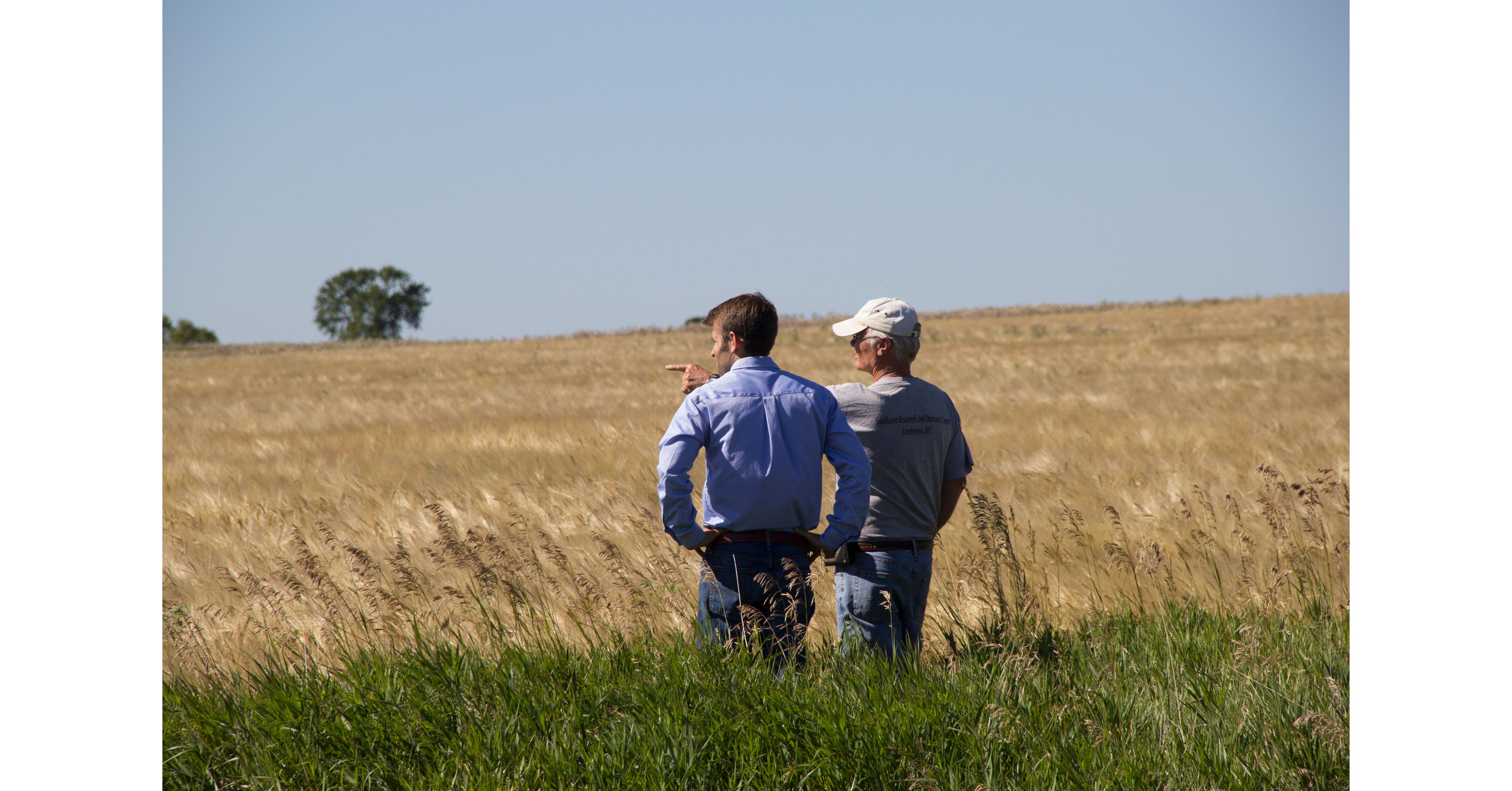 Albert Lea Seed Drives U.S. Purity Standards With Innovative NonGMO