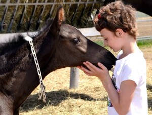 Kids: Help name up to 12 RCMP Foals!