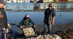 Honda Marine Science Foundation Supports New Projects Focused on "Living Shorelines" Along West Coast