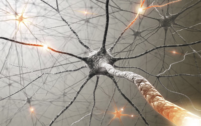 Feinstein Institute scientists are decoding the nervous system