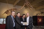 Dinosaur Museum Altmuehltal Exhibits Real Dracula