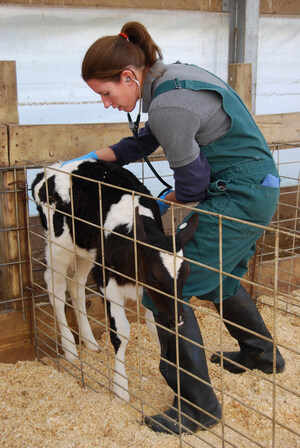 Veterinarians head to Capitol Hill to discuss Farm Bill, student debt