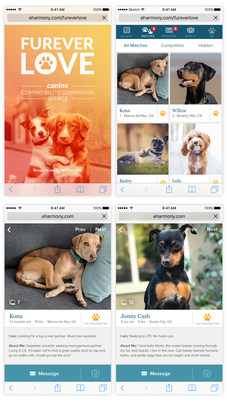 eharmony introduces Furever Love, a canine compatibility companion
service