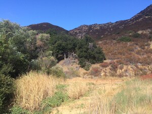 Humane Society Wildlife Land Trust Receives Donation of 684-acre Conservation Easement, Protecting a Top U.S. Area of Biodiversity in Warner Springs, San Diego County, California