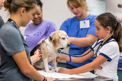 Students examine a dog during Auburn University's Junior Vet Camp 2017. Three grand prize winners of the 2018 "Become a Veterinarian Camp Contest," done in partnership with Royal Canin and Vet Set Go, will attend Junior Vet Camp 2018 and learn about veterinary medicine.